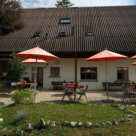 Delemont Youth Hostel Eksteriør bilde
